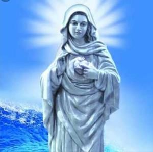 Meet your Posher, Chippy